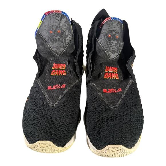Nike Lebron 17 Fruity James Gang Men Size 14 BQ3177-005 Pebbles Gravity Shoes main image 9